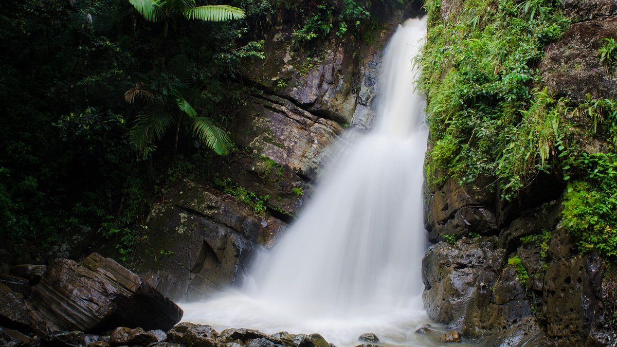 Rainforest waterfall near the zipline park